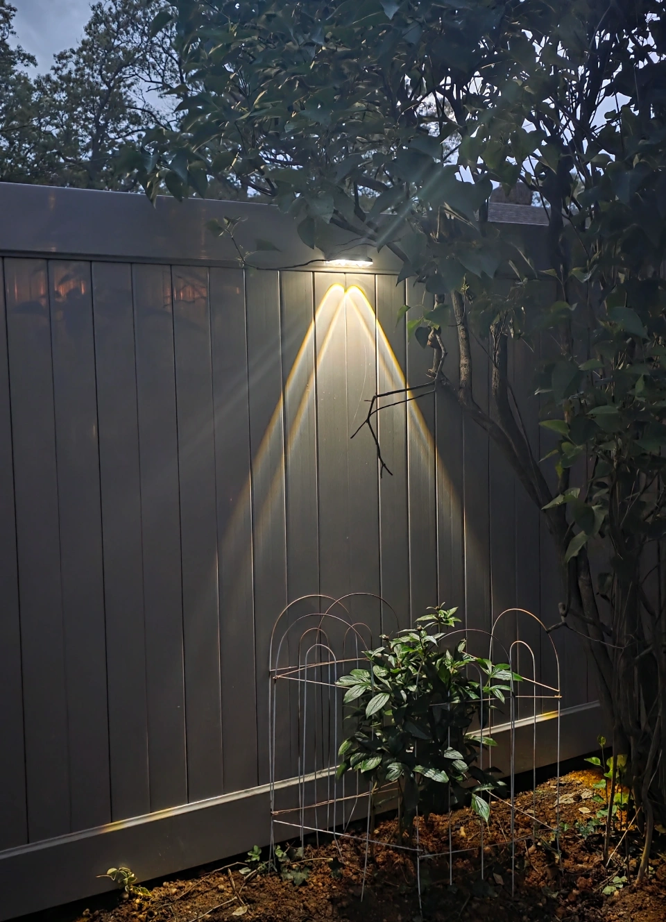 home image 2